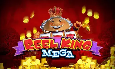 BD222 Mega Reels Exclusive